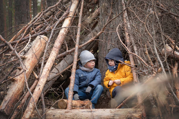 Two warmly dressed little boys in an autumn (or spring) pine forest play in a makeshift hut (self made branches shelter). stock photo