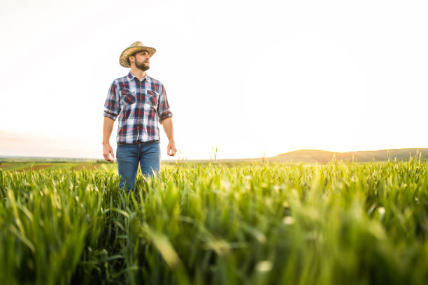 istock Young farmer standing on his agricultural field. 1340358200
