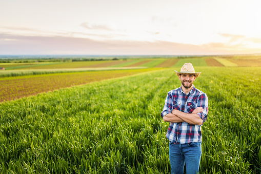 Young farmer standing on wheat field during sunset and looking at camera.