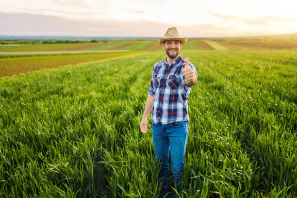istock We grow only the best crops! 1340358286