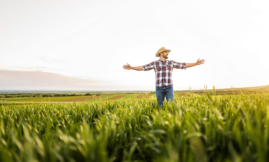Young farmer standing on wheat field during sunset with arms outstretched.