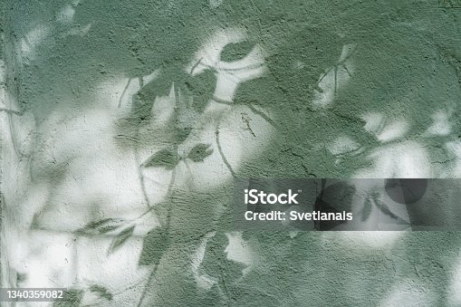 istock Tree leaf shadow on wall, tree branch with leaves silhouette. Modern green abstract background 1340359082