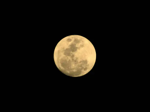 Photo of large golden full moon called the blue full moon , floating isolated in the southern hemisphere night.