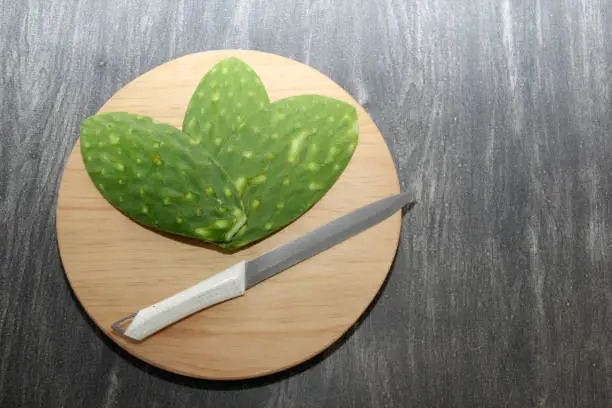 Photo of Fresh raw green nopales without bones ready to cook Mexican food on a wooden chopping board with knife