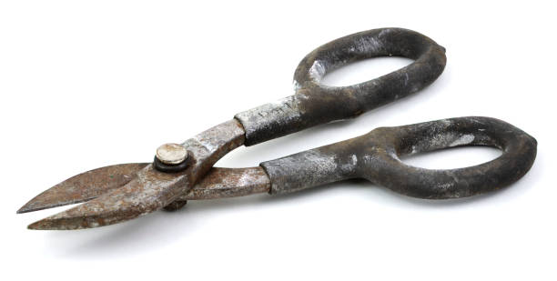 istock Old metal cutting scissors on a white background 1340368156