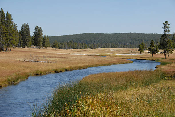 istock Nez Perce Creek flows through the beauty of Yellowstone 134036899