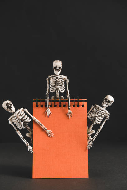 istock Blank orange notebook with skeletons on a black background. Halloween concept. Space for text. 1340369261