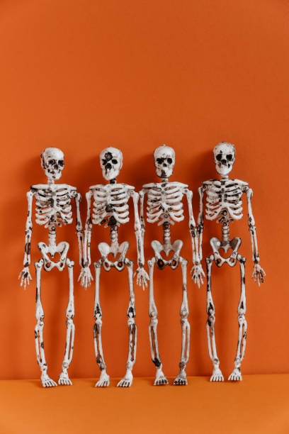 istock Four skeletons stand against a orange background. Halloween creative concept. A minimalistic holiday design. Copy space. 1340369264