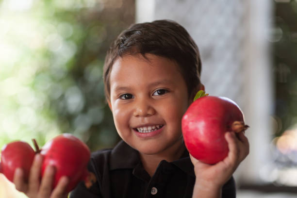 Smiling child holding up in his little hands some freshly cut pomegranates that are grown organically. stock photo