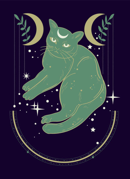 2,263 Galaxy Cat Stock Photos, Pictures & Royalty-Free Images - iStock 2,263 Galaxy Cat Stock Photos, Pictures & Royalty-Free Images - iStock