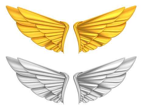gold and sliver wing.