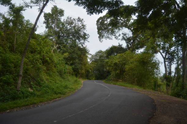istock The curve of the road 1340392101