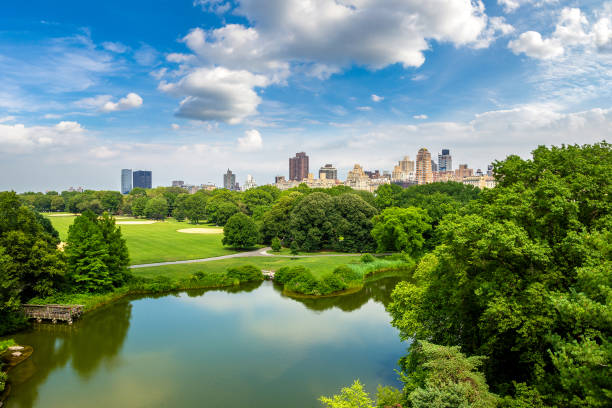 istock Central Park in New York 1340396459