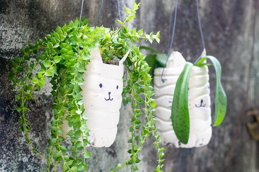 cute plant pots made from reused water bottles : recycle concept