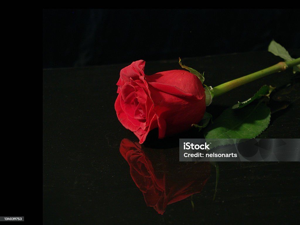 Rose sobre preto - Royalty-free Amor Foto de stock