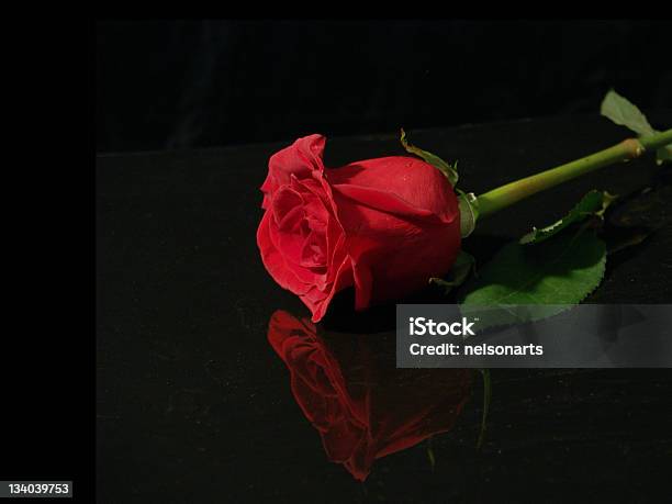 Rose Sobre Preto - Fotografias de stock e mais imagens de Amor - Amor, Aniversário especial, Arranjo de flores