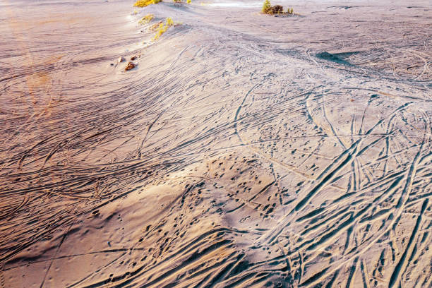 istock Tire tracks and footprints all over the sandy beach. 1340399195