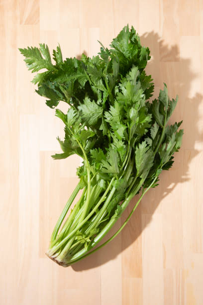 istock Fresh green celery taken indoors 1340400386