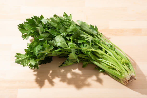 istock Fresh green celery taken indoors 1340400418