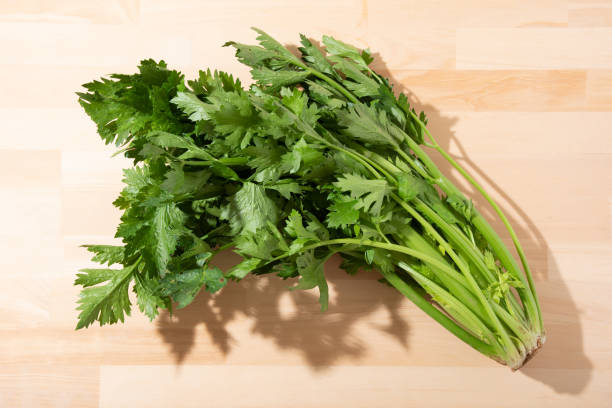 istock Fresh green celery taken indoors 1340400452