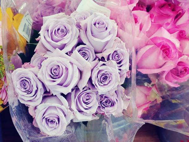 istock Purple and pink rose flower bouquet 1340407754