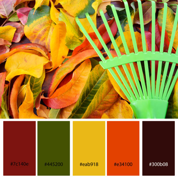 istock Designer Color Palette inspired by Autumn Fall leaves. 1340409121