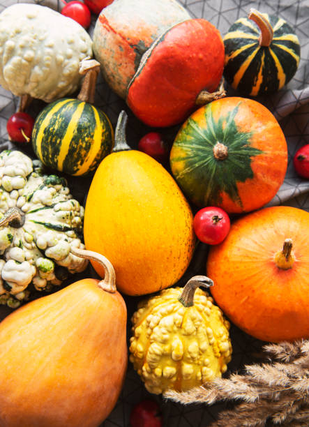 istock Autumn composition,  cozy fall season,  pumpkins and leaves on textile background. 1340411892