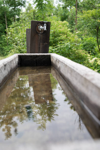 Wooden trough with spring water in the middle of green nature.