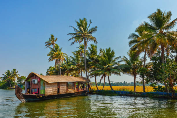 casa flotante en kerala backwaters, india - kerala fotografías e imágenes de stock