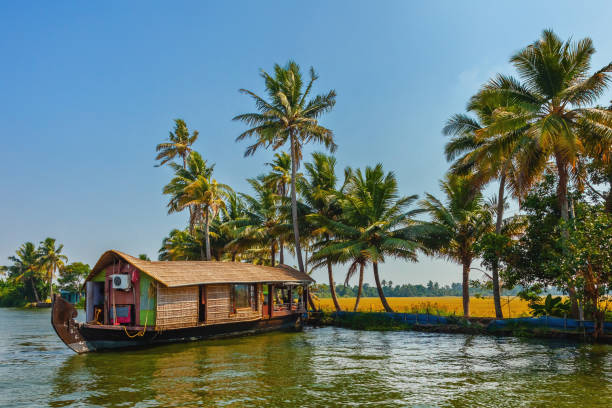 houseboat on kerala backwaters, india - kerala imagens e fotografias de stock