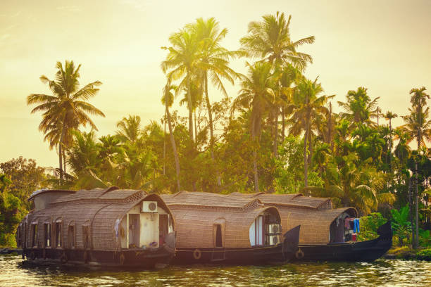 istock Houseboat on Kerala Backwaters, India 1340427516