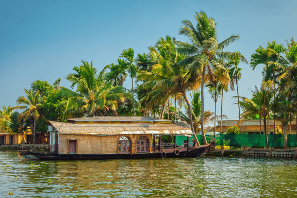 Scenery in Kerala