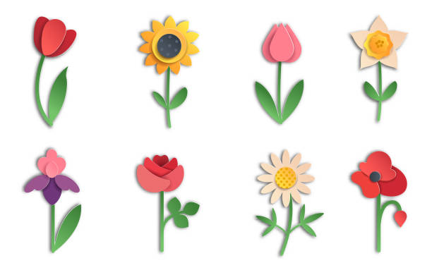 114 Outline Flower Daffodil Cartoons Illustrations & Clip Art - iStock 114 Outline Flower Daffodil Cartoons Illustrations & Clip Art - iStock