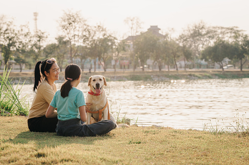 Asian daughter and mother with labrador retriever dog and sitting in the park, Family with pet relaxing and spending time together at outdoors