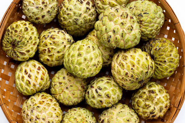 istock Custard apple in bamboo basket on white background. 1340433665
