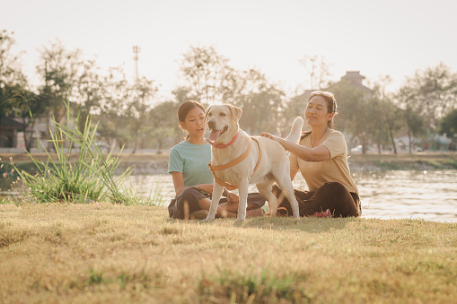 Asian daughter and mother with labrador retriever dog and sitting in the park, Family with pet relaxing and spending time together at outdoors