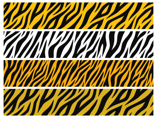 ilustrações, clipart, desenhos animados e ícones de conjunto de fundo longo horizontal com vários padrões de tigre - tiger