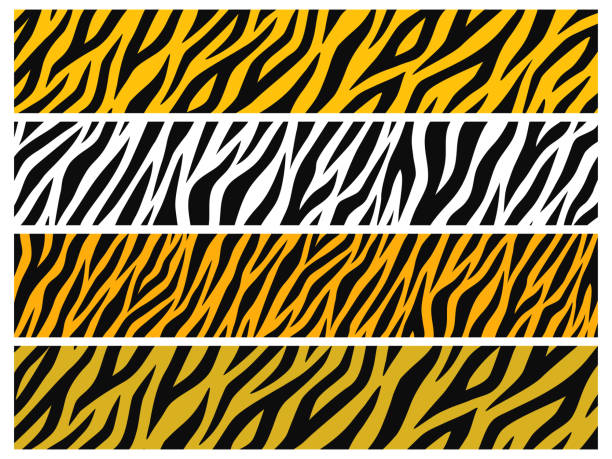 Horizontal long background set with various tiger patterns Horizontal long background set with various tiger patterns
(yellow, white, orange, gold) tiger stripes stock illustrations