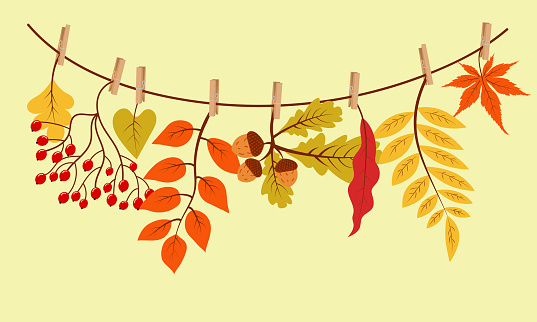 Autumn gifts hanging on the rope attached with clothespin. Vector illustration.