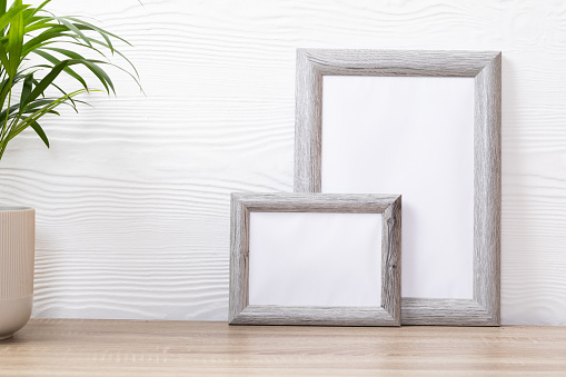 Composition of white cards in frames with copy space and plant on white background. interior design and decor concept.