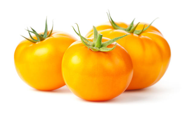 istock Three Yellow Tomatoes Isolated On White Background 1340447250