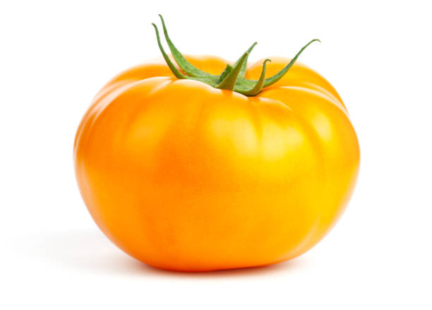 Yellow Tomato Isolated On White Background