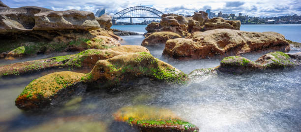 istock Partly cloudy Spring afternoon on Sydney Harbour with nice rocks in the foreground the soft waves crashing on the shore and the beautiful harbour foreshore as a backdrop NSW Australia 1340452171