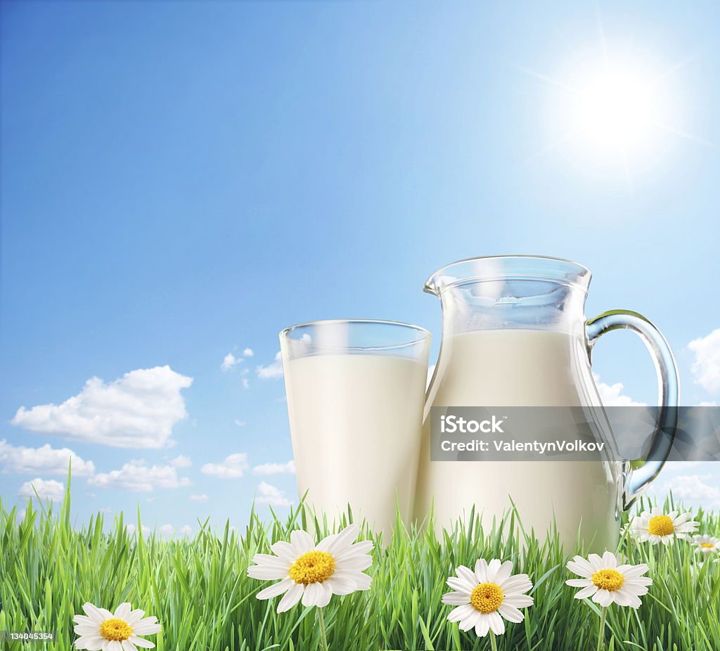 Milk jug and glass. Milk jug and glass on the grass with chamomiles.  the summer sky with clouds on the background. Flower Stock Photo