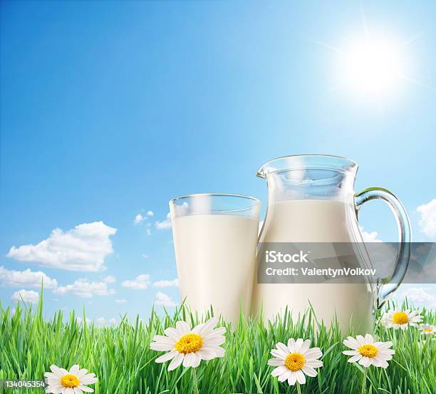 Milk Jug And Glass Stock Photo - Download Image Now - Flower, Milk Bottle, Agriculture