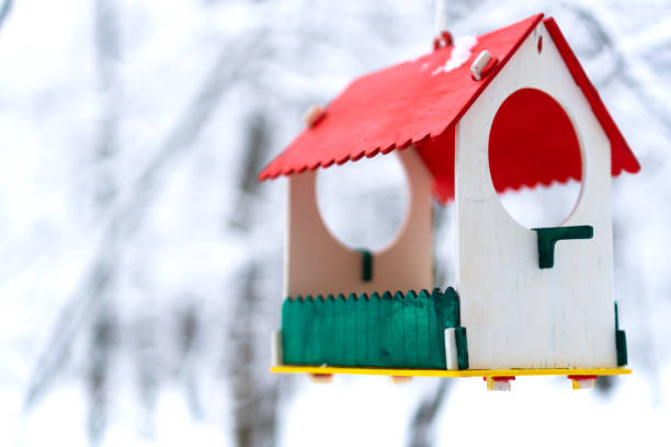 istock Birds feeder close up in winter season. 1340462092