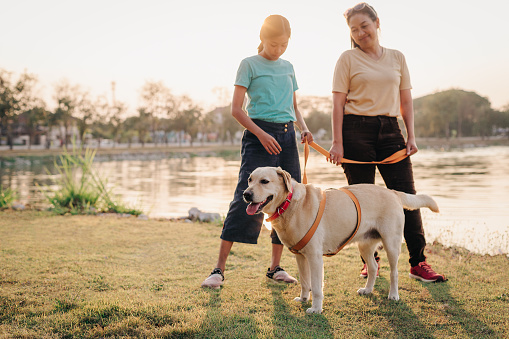 Mother and daughter with labrador retriever dog walking in the park at outdoors, Happy family with dog concept