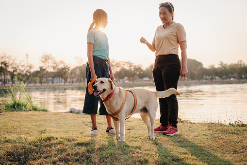 Mother and daughter with labrador retriever dog walking in the park at outdoors, Happy family with dog concept