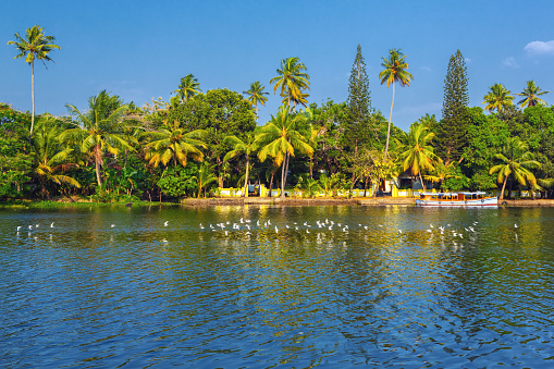 Scenery in Kerala