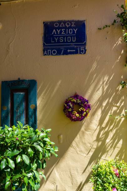 istock flowers on the wall 1340467161